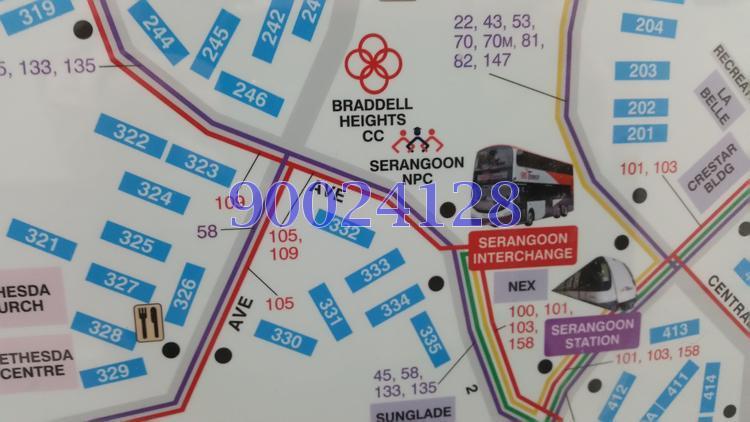 Blk 322 Serangoon Avenue 3 (Serangoon), HDB Executive #110495152